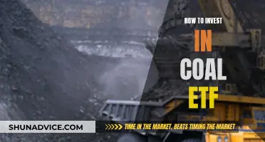 Invest Wisely: Coal ETF Opportunities and Strategies