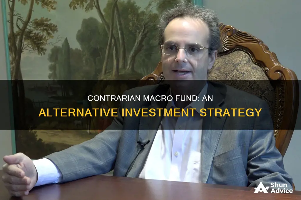 how to invest in contrarian macro fund