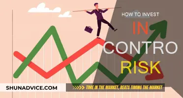 Controlling Risk: A Guide to Smart Investing