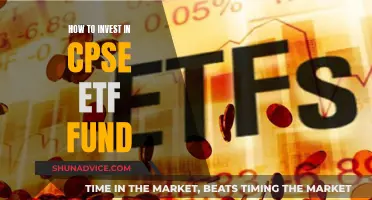 A Guide to Investing in CPSE ETF Funds