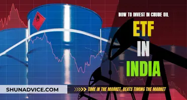 Crude Oil ETF: A Guide for Indian Investors