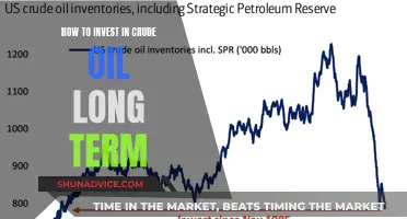 Cracking the Code: Long-Term Crude Oil Investment Strategies