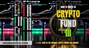 A Beginner's Guide: Crypto Fund III Investment Strategies