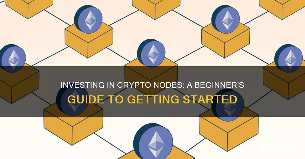 how to invest in crypto nodes