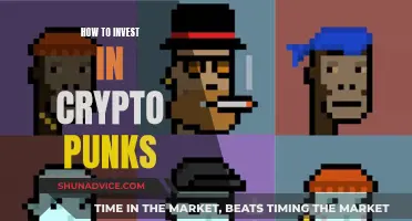 Strategies for Investing in Crypto Punks: A Beginner's Guide