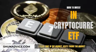 A Beginner's Guide to Cryptocurrency ETF Investing