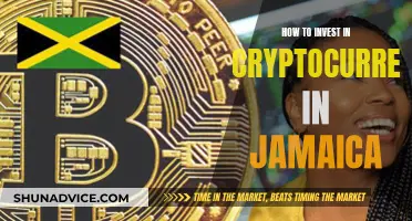 A Beginner's Guide to Cryptocurrency Investment in Jamaica