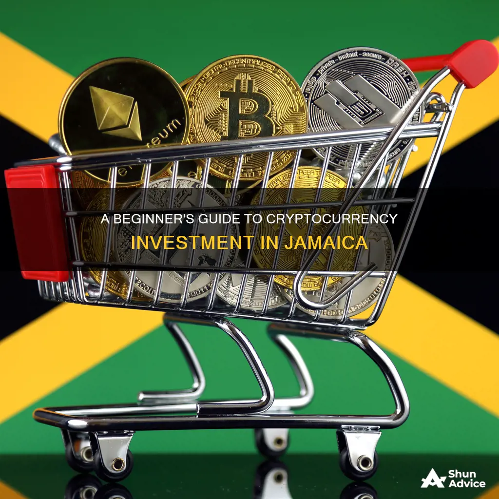 how to invest in cryptocurrency in jamaica