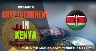 A Beginner's Guide to Cryptocurrency Investment in Kenya