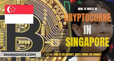 A Beginner's Guide to Crypto Investing in Singapore