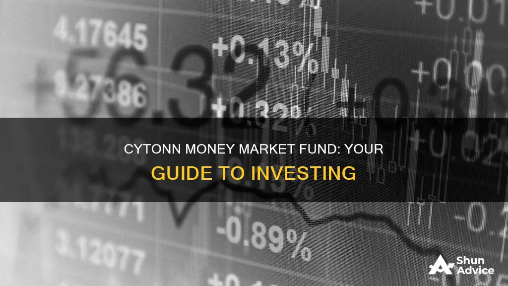 how to invest in cytonn money market fund