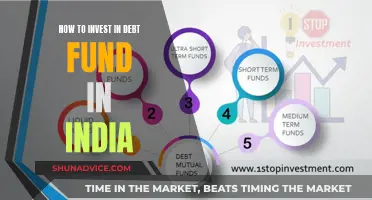 Debt Fund Investment Guide for Indians