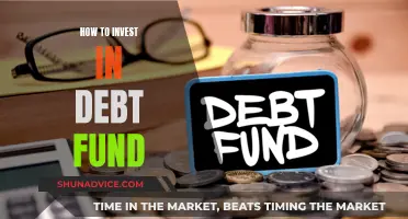 Debt Fund Investment: Strategies for Success