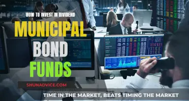 Invest Wisely: Municipal Bond Dividends