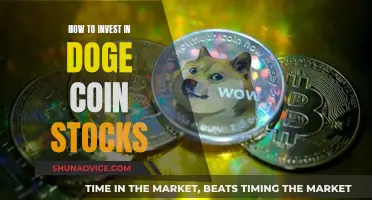 Doge Coin Stock Investment: A Beginner's Guide