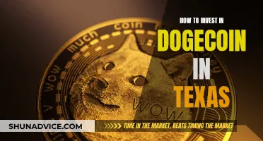 Texans' Guide to Dogecoin: Investing in Meme-coin