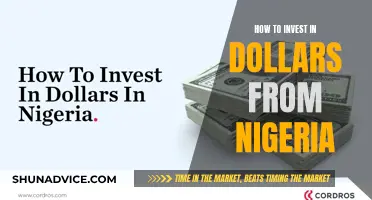 Unlocking Nigerian Dollar Investment: A Beginner's Guide to Global Growth