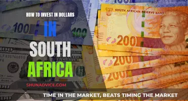 Unleash Your Dollar Power: A South African Investment Guide