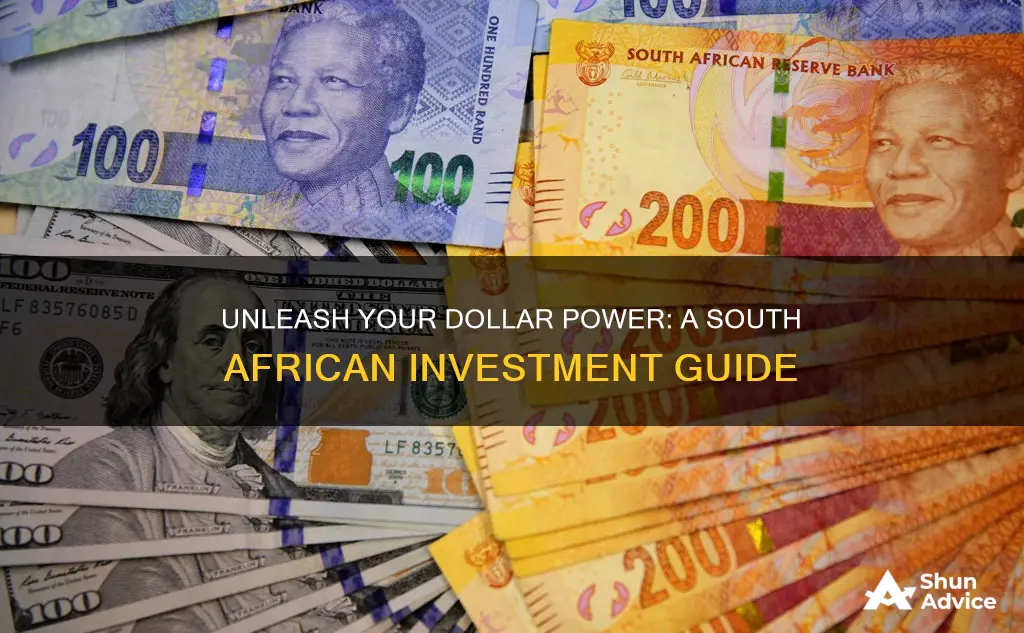 how to invest in dollars in south africa