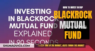 DSP Blackrock Mutual Fund: A Guide to Investing