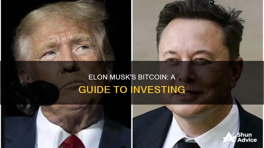 how to invest in elon musk bitcoin