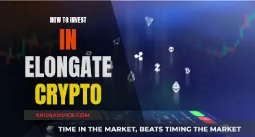 Elongate Crypto: A Guide to Investing