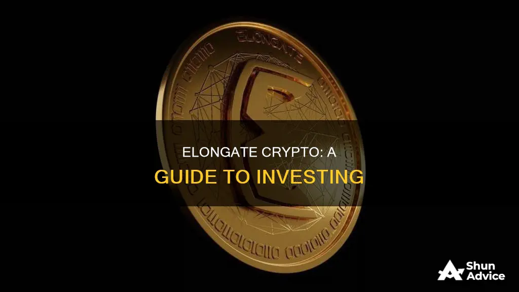 how to invest in elongate crypto