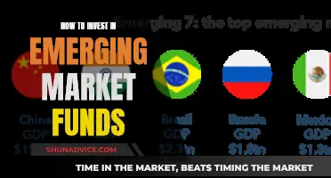 Emerging Market Funds: Where to Invest and How