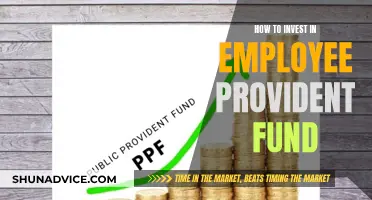 Maximizing Your Employee Provident Fund Investments: A Guide