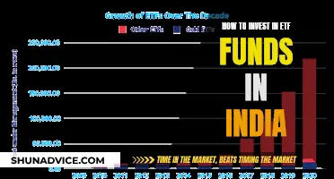 A Beginner's Guide to Investing in India's Top ETFs