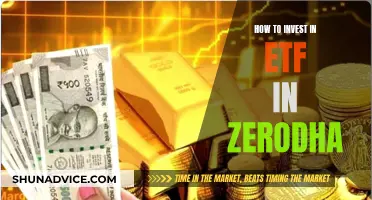 A Beginner's Guide to ETF Investing with Zerodha