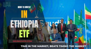 Invest in Ethiopia ETF: A Guide to Opportunities and Risks