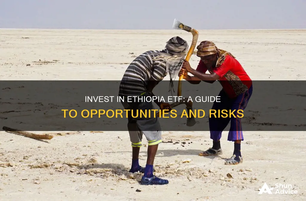 how to invest in ethiopia etf