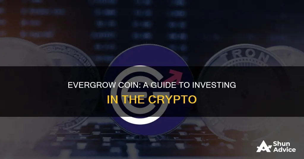 how to invest in evergrow coin