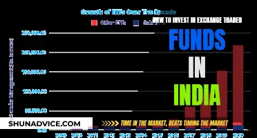 Exchange Traded Funds: Investing in India's Future