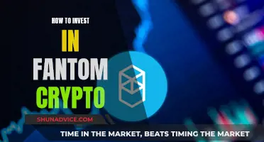 Fantom Crypto Investment: A Beginner's Guide to Getting Started