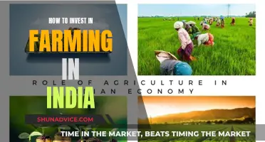 Farming in India: A Guide to Smart Agricultural Investment