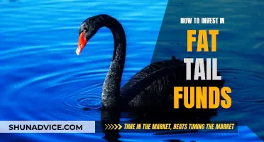 Fat Tail Funds: Strategies for Investing in Uncertain Markets