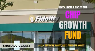 Fidelity Blue Chip Growth Fund: A Smart Investment Strategy