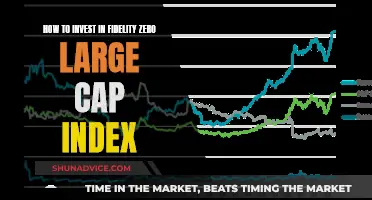 A Beginner's Guide to Fidelity Zero Large Cap Index Investing