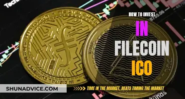 Filecoin ICO: Investing in the Future of Data Storage