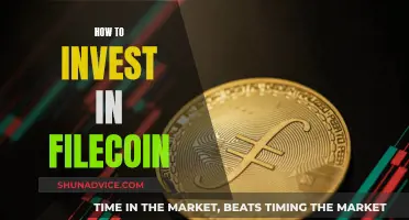 Filecoin Investment: Steps to Take for Crypto Beginners