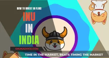 Floki Inu: Guide to Investing in India