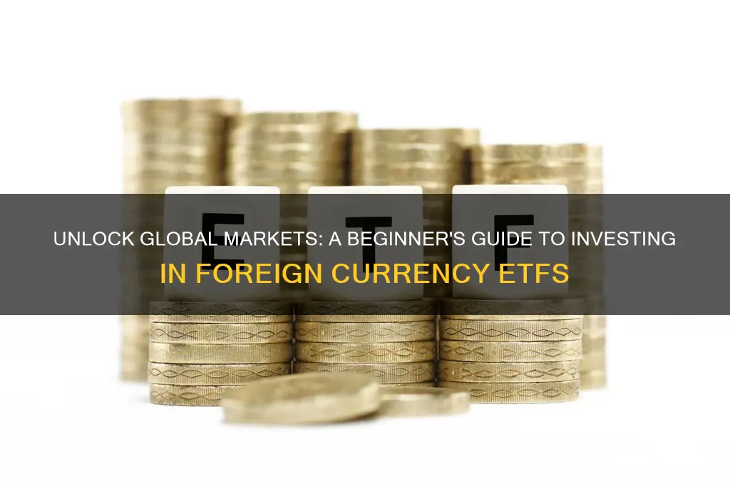 how to invest in foreign currency etf