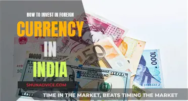 Unlock Global Opportunities: A Beginner's Guide to Foreign Currency Investment in India