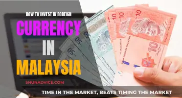 Unlocking Foreign Currency Investment: A Guide for Malaysian Investors