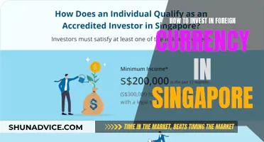 Unlocking Global Investment: A Beginner's Guide to Foreign Currency Trading in Singapore