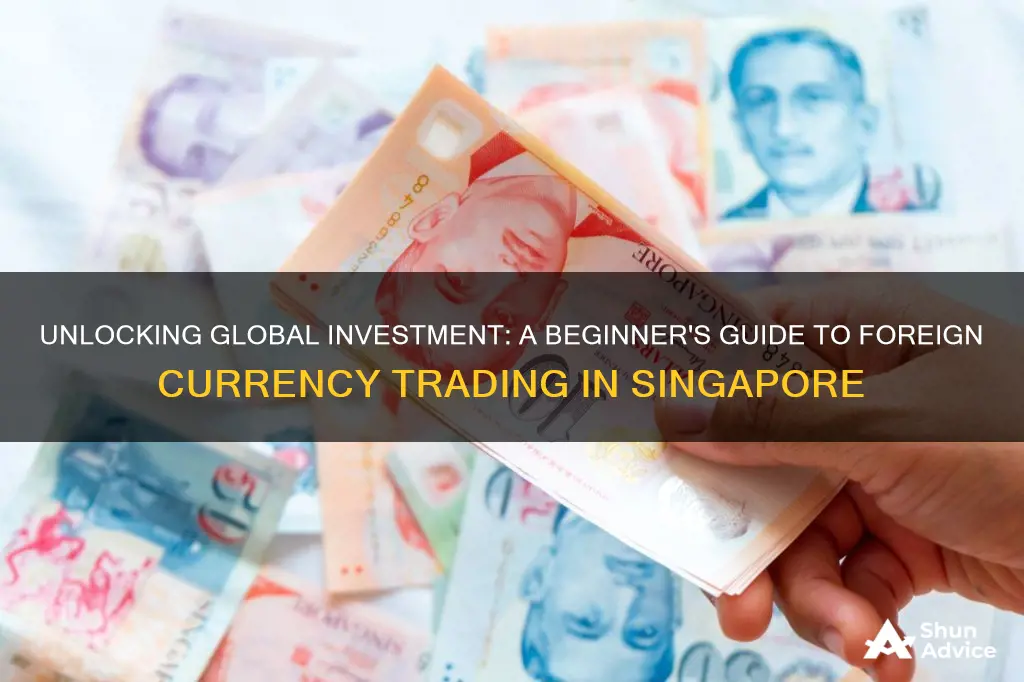 how to invest in foreign currency in singapore