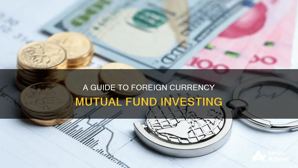 how to invest in foreign currency mutual funds