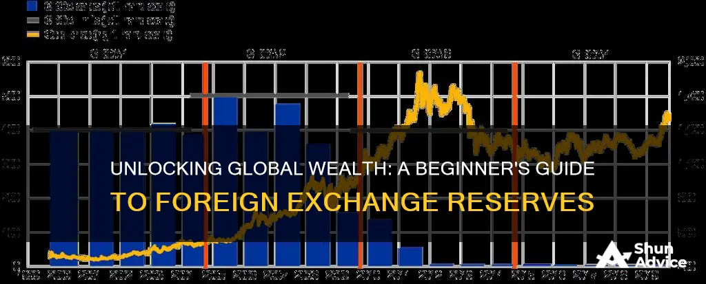 how to invest in foreign exchange reserves